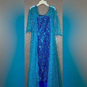 Beautiful Princess Elsa dress. Size 5t.